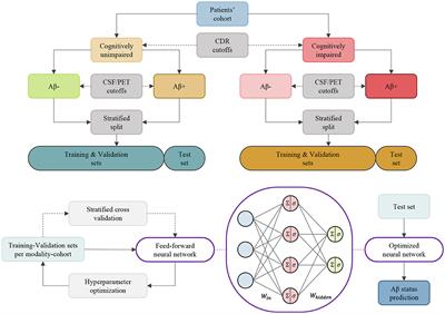 Comparative analysis of multimodal biomarkers for amyloid-beta positivity detection in Alzheimer's disease cohorts